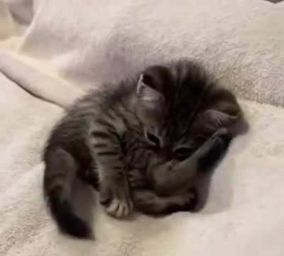 Ainsss.. solo quería dormir la siesta...