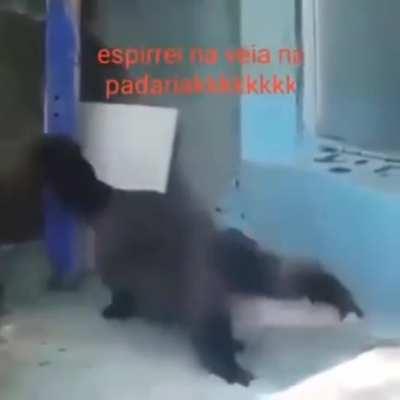 KKKKKKK óleo de lontra