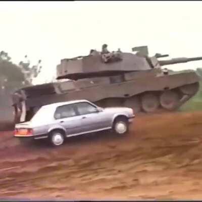 BMW playing with the wild cat[640x640]