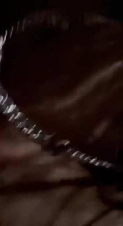 Nasty lil thot bucket 💦💦sloppy deepthroat tha dick 🍆with no care left😭🤣🤣