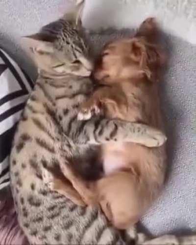 Here's to you finding that special somebody who will keep you safe and comfy!