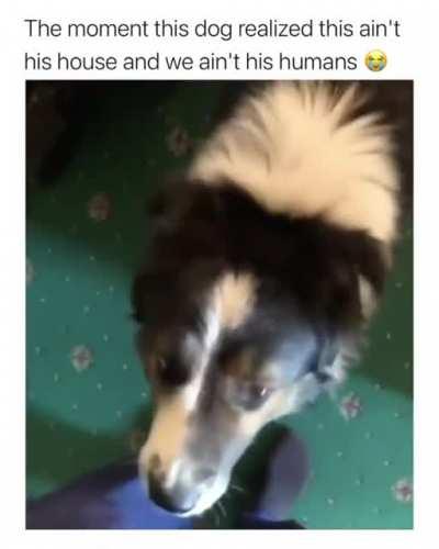 This isn't my house!