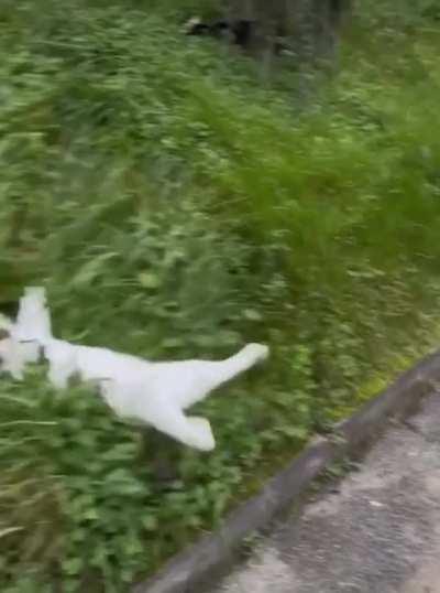 HMC while I go hunting