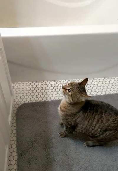 Taking the easy route