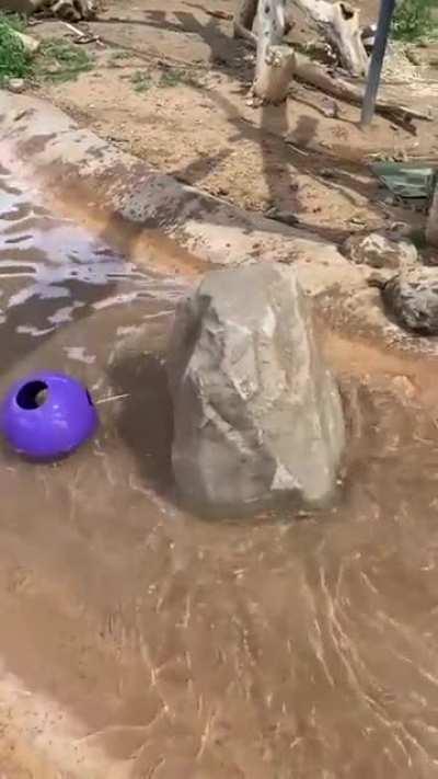 Don’t be suspicious...