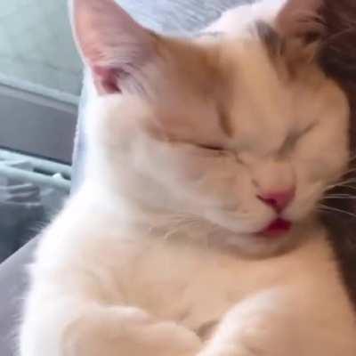 Sometimes I want to hug someone so much