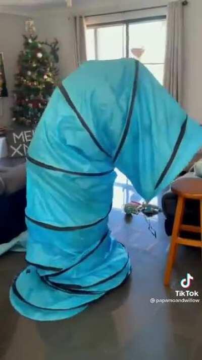 MonSteR cOnsUmeS inNoceNt bAbY