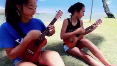 An interesting ukulele title