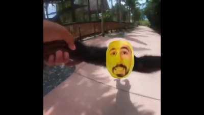 Como ser feliz solo con un vídeo