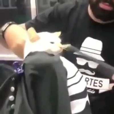 Corta só as pontas tio