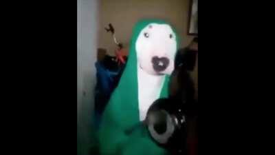 walter galaxy collapse 1300pp