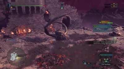 TIL capture net does damage.