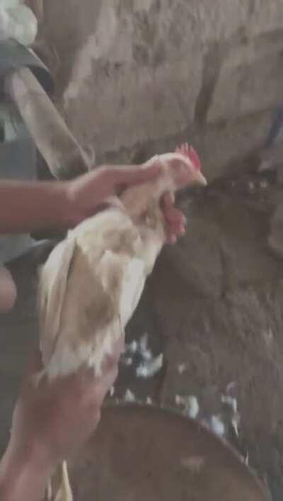 Yung tipong alam mo na yung tadhana mo😂