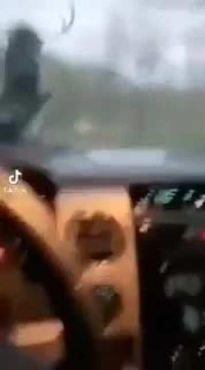 When your Druid panics