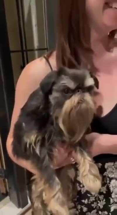 Who does he look like?