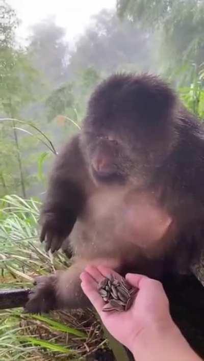 Well, that was somewhat awkward at first..