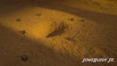 Mais uma do Ricardo Miloverso, Jogo do Lula