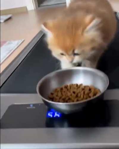 how to get there?😅