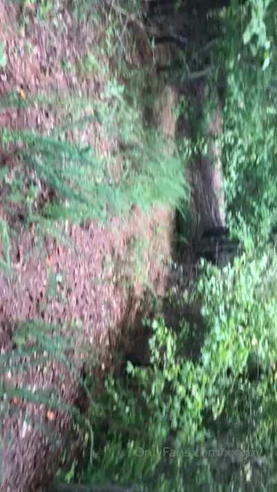 OUTDOOR BLOWJOB🤩🤩 BIG MEGA PACK OF HER 🟡 17.28 GB 🟡 IN COMMENTS 👇 GRAB IT FAST