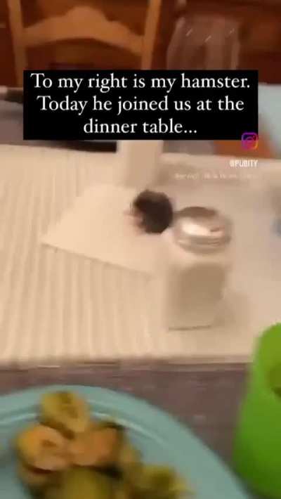 Wunkus has officially graduated from the kids table