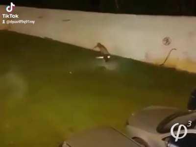 O novo filme de harry potter