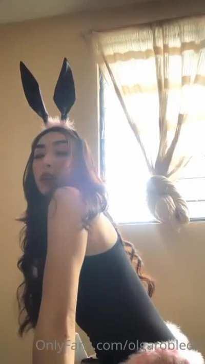 🐰