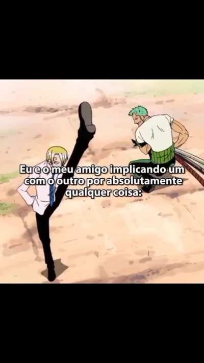 Sanji e Zoro