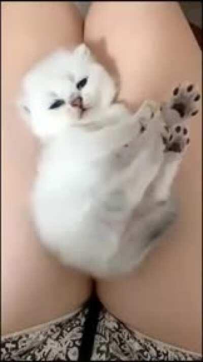 I can watch this for 100 times hahaha...