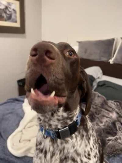 Matthew crying for no reason other than he wants to live outside