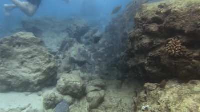 I did a group tour snorkeling in Hanauma Bay. Incredible footage from my GP11