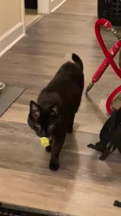 Wow! What a Good catch, Finn!