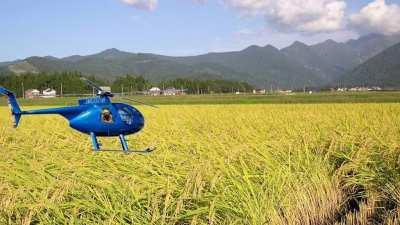 Yoda gets drafted to Vietnam and dies