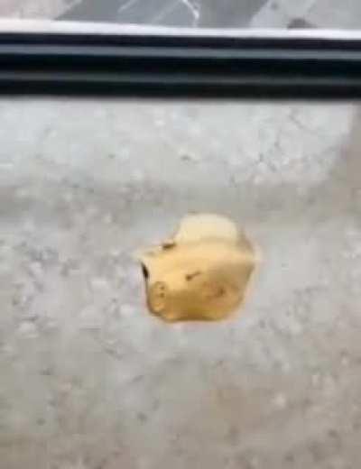 i don't remember joining this sub