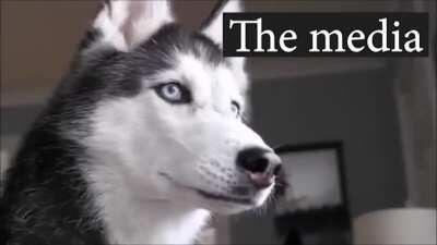 Looks like we have ourselves a good old fashioned staredown