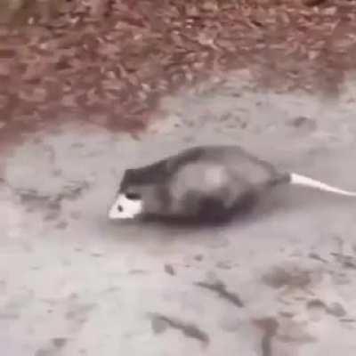 Me on the way to make sure you are all happy and healthy