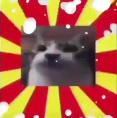 hhfhajdoejddjdjdj meesrkepqmeeeiwsiiiijabeidjabw