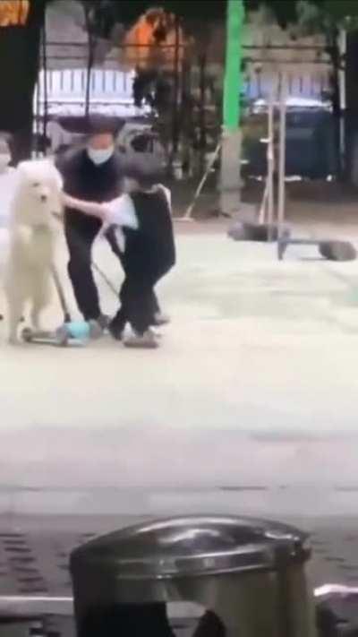 Even the dog expected him to move