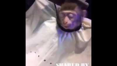 In Character Customization Like