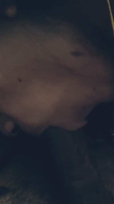 Slow. Intentional. In sync with me. She set the standard. Think you could match it? 😈 EKM