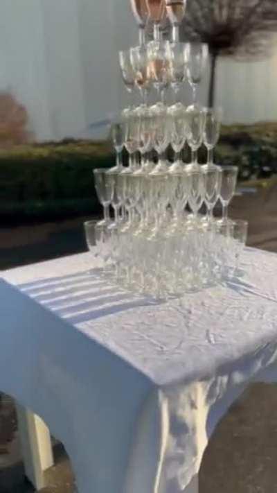 Настоящий профи