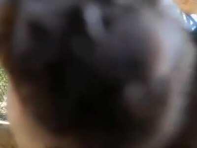 Muquinha recebendo os subs na casa dele