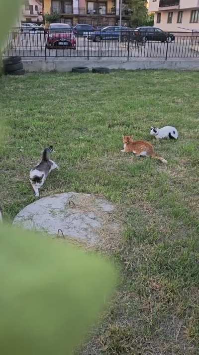 Bro's moving in slow-mo