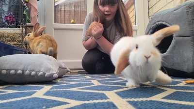 Slow-Mo Lop