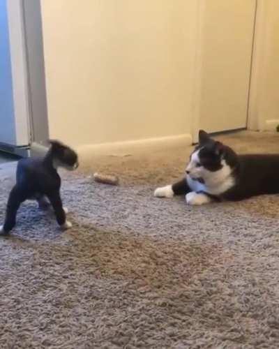 Are you not entertained!?