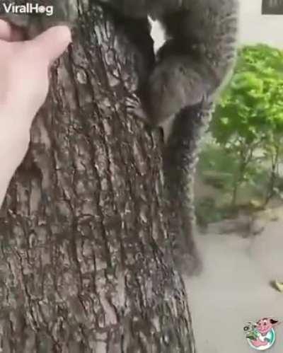 Go back to mommy, little one.