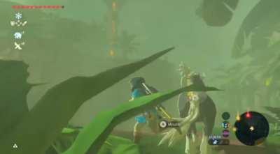 I'm officially only using the Master Cycle from now on