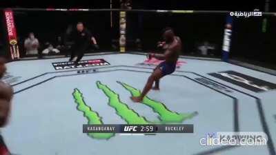 Buckley's KO matched a Tekken move frame for frame