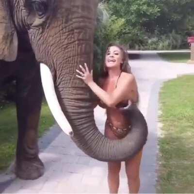 Handsy elephant.
