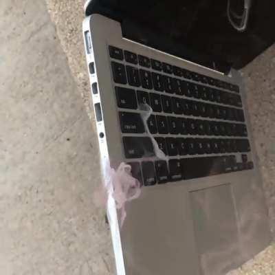 It appears that we've sprung a spice leak...