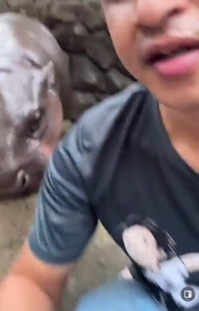 BREAKING NEWSSSS moo finally made a sound with her mouth! Big yawn 🥱😍😍😍